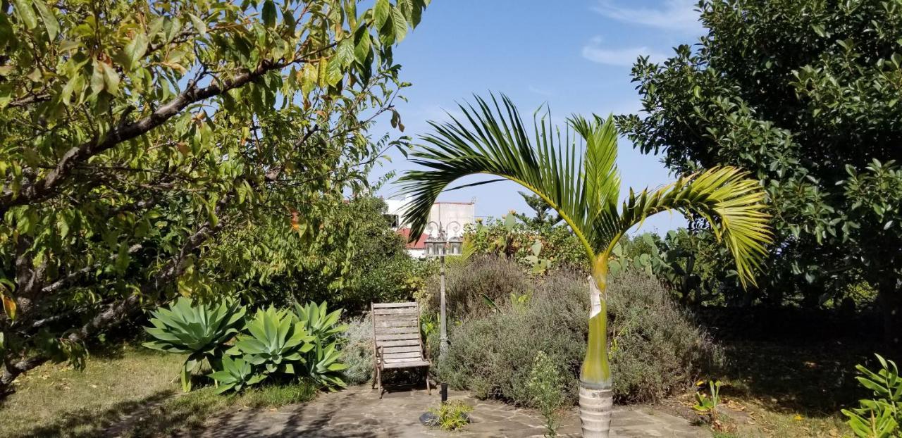Apartamento La Casita de la Vega Icod De Los Vinos Exterior foto