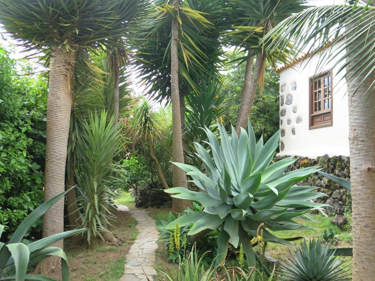 Apartamento La Casita de la Vega Icod De Los Vinos Exterior foto