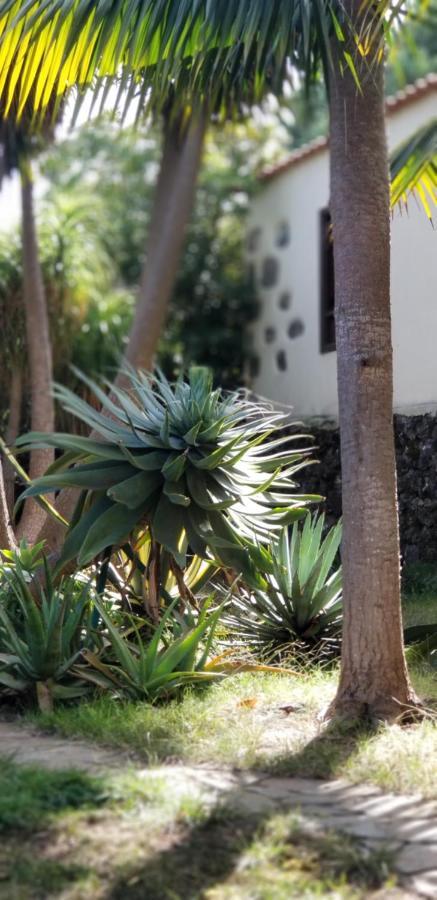 Apartamento La Casita de la Vega Icod De Los Vinos Exterior foto
