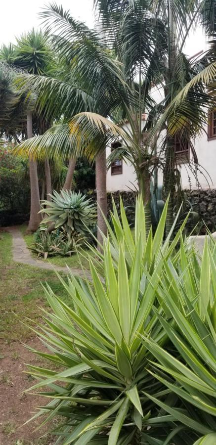Apartamento La Casita de la Vega Icod De Los Vinos Exterior foto