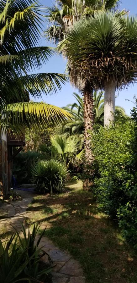 Apartamento La Casita de la Vega Icod De Los Vinos Exterior foto