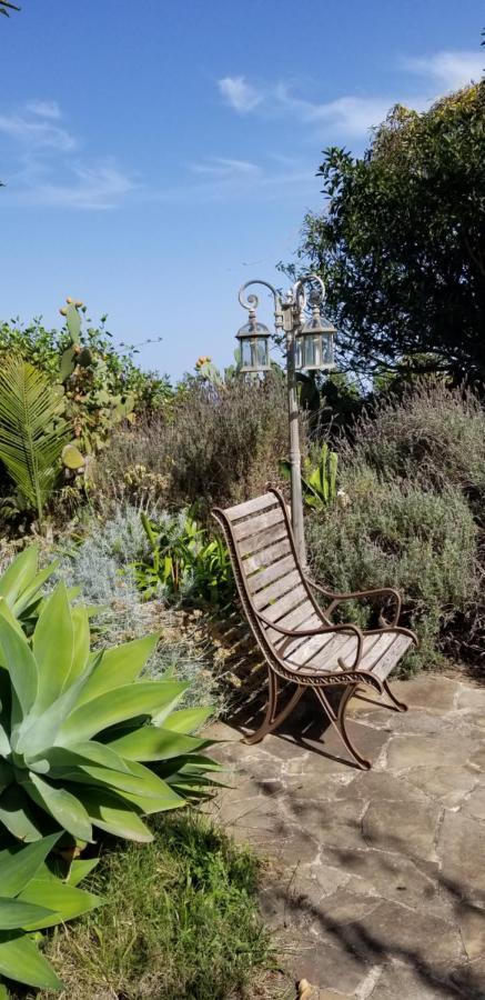 Apartamento La Casita de la Vega Icod De Los Vinos Exterior foto