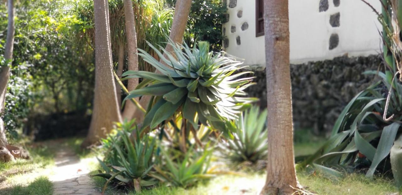Apartamento La Casita de la Vega Icod De Los Vinos Exterior foto