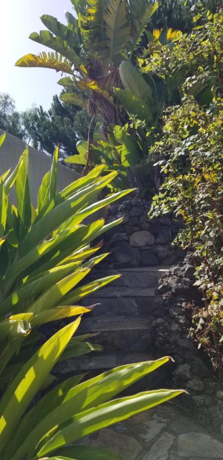 Apartamento La Casita de la Vega Icod De Los Vinos Exterior foto