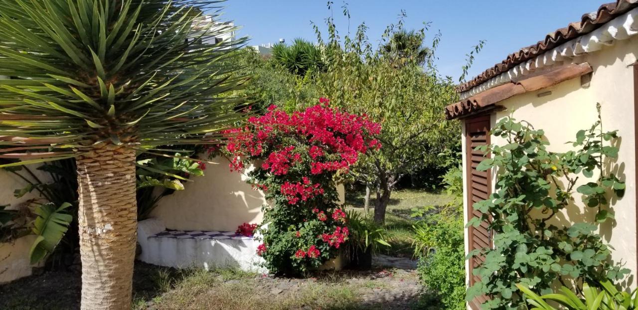 Apartamento La Casita de la Vega Icod De Los Vinos Exterior foto